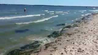 Киевское море. Дикий пляж в буквальном смысле 16.08.2015