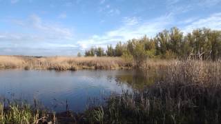 Рыбалка в Херсонской области
