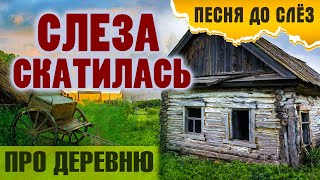 Песня про деревню. Слеза скатилась | Александр Закшевский 2020