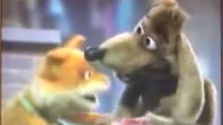The Puzzle Place: Season 1, Episode 29 - Baffled Ben (Stabilized Webcam)