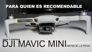 MAVIC MINI, LOS PROS Y CONTRAS , Para quien va encaminado el pequeño de Dji?