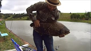 DICAS de PESCA tambacu ,carpa,tilápia no frio