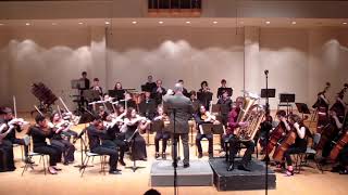 R. Vaughn Williams: Tuba Concerto 1st movement