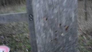 Gamo HUNTER 1250