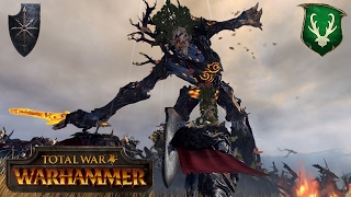 Warriors of Chaos vs. Wood Elves 3v3 Faction War - Total War Warhammer Multiplayer Battle