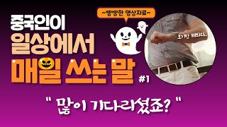 중국인이 일상에서 매일 쓰는 말, 8개 영상 준비해왔어요!! 이 영상만으로 오늘 표현 마스터 가능!!   매일사용되는중국어| 중일매#1