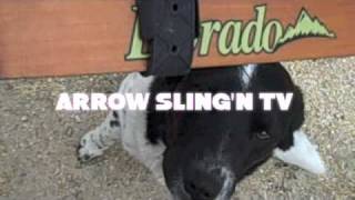 ARROW SLING'N TV... hoyt dorado 3 piece takedown recurve