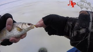 Ловля плотвы зимой на безнасадочную мормышку.