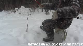 РЫБАЛКА В ГЛУХОЙ ТАЙГЕ! 2019.СОРОЖКА .САМАЯ ОГРОМНАЯ РЫБА ПОЙМАНА!!!