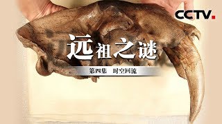 《远祖之谜》第四集 时空回流 | CCTV纪录