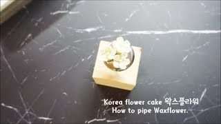 앙금플라워. 韩式裱花 . How to pipe Wax flower. Beanpaste flower. Korea flower cake