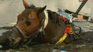 Dramatic beach rescue: Astro saved from beach mud 'like quicksand'