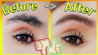 How to GROW Your EYEBROWS *FAST!* (Thick & Natural Results)