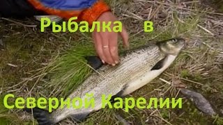 Диалоги о рыбалке - 187 - Рыбалка в  северной Карелии.