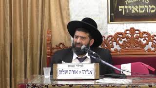 הרב אייל עמרמי |  אני לדודי ודודי לי | כי תצא תשע'ט