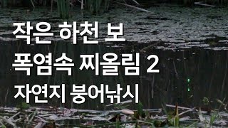 붕어낚시, 부들 마름이 어우러진 작은 보 찌올림 2부(밤낚시)
