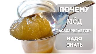 Почему мед засахаривается?