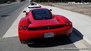 Ferrari Enzo loud revs