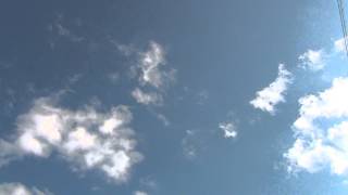 Голуби Самары. Гон молодняка николаевских голубей в Самаре. 28.07.14г.