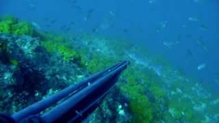 TRAILER DEEP ESTRECHO CON RAUL ASTORGA TEAM OMER