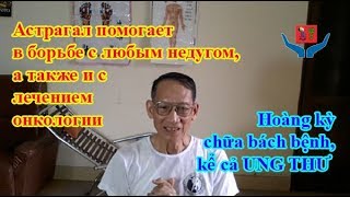 Астрагал помогает в борьбе с любым недугом, а Также и c лечением онкологии.