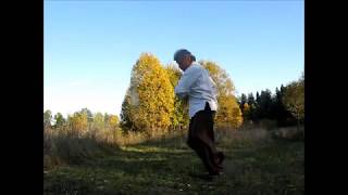 Дин цзы Багуа чжан, фрагменты формы