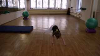 Capoeira move for kids(связка с тренировки)