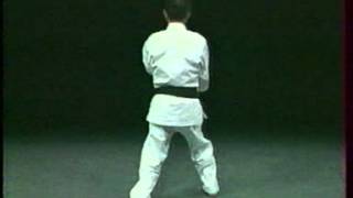 Karate Wado-Ryu