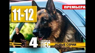 ПЁС 4 СЕЗОН 11,12 СЕРИЯ (сериал 2019) АНОНС И ДАТА ВЫХОДА