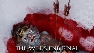 Skyrim ENB Presets - The Wilds ENB Final