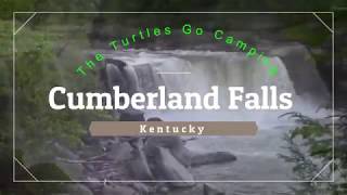 The Turtles go Camping, Cumberland Falls