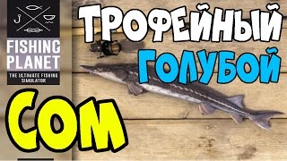 Fishing Planet Сом | Трофейный Голубой Сом | Мичиган, озеро Сент-Круа | Прохождение 2016