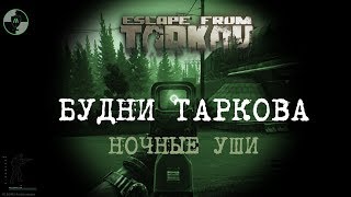 Escape From Tarkov Ночные УШИ