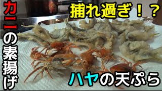 川で捕ったハヤとサワガニを料理して食う！