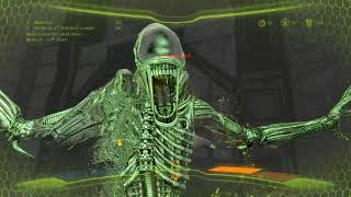 PLASMA NOOBS! Species Team DM, Predator - Multiplayer, Aliens vs Predator 2010