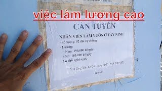 xin việc làm 2020 l thuận giao bình dường