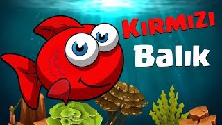 KIRMIZI BALIK ŞARKISI (Yeni Animasyon) - En Sevilen Çocuk Şarkısı