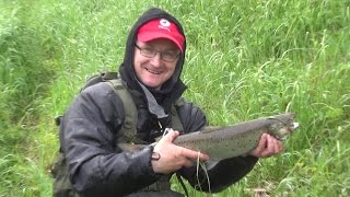 Неожиданный трофей