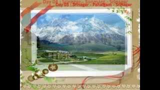 Kashmir Honeymoon Package from Delhi with Paras Holidays
