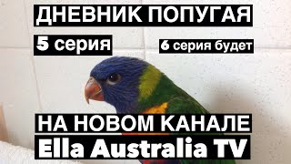 Ella Australia TV - мой новый канал .Всем Добро Пожаловать !