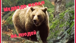 Страшное видео Медведь напал на людей