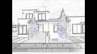 Los Ciruelos Pachuca Tulipán