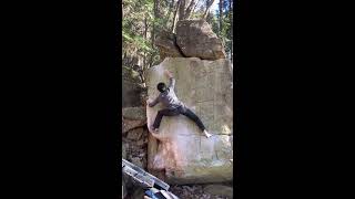 皇帝ペンギン　　初段　恵那　里エリア