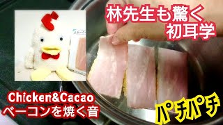 初耳学で話題！ベーコンを焼く音が癒される【ASMR焼く音】チキンちゃんがホワイトノイズに挑戦
