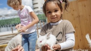В Казани открылся зоопарк «Ривьера»
