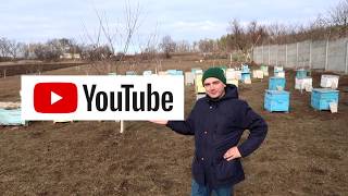 Пчеловодство  | Развиваемся вместе | Простое пчеловодство