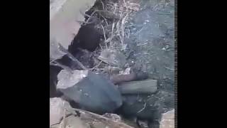 Смерть боевиков в Астрахани