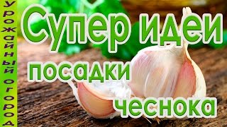 СУПЕР ИДЕИ ДЛЯ ПОСАДКИ ЧЕСНОКА И ЛУКА!!!