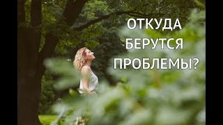 Лера Хижная: Откуда Берутся Проблемы | Работа с убеждениями