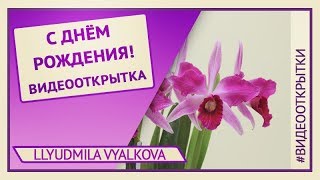 Видео открытка с Днем рождения